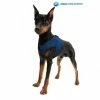 Animal Gear Europe Aqua Coolkeeper Cooling Comfy Harness Pacific Blue -winkel voor hondenbenodigdheden aqua coolkeeper cooling comfy harness pacific blue