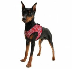 Animal Gear Europe Aqua Coolkeeper Cooling Comfy Harness Red Western