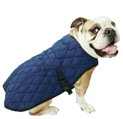 Animal Gear Europe Aqua Coolkeeper Cooling Pet Jack Pacific Blue