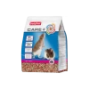 Beaphar Care+ Rat 1,5 Kilo Rattenvoeding 1 Beaphar Care+ Rat 1,5 Kilo Rattenvoeding -winkel voor hondenbenodigdheden beaphar care rat 15 kilo rattenvoeding
