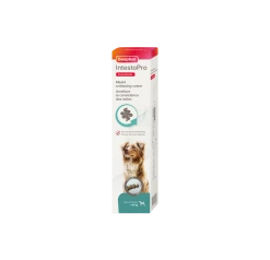 Beaphar IntestoPro Pasta Hond Vanaf 15kg 2x20ml