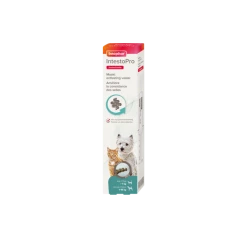 Beaphar IntestoPro Pasta Kat/hond Tot 15kg 20ml