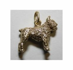 Bedeltje Verguld Bouvier Gecoupeerd