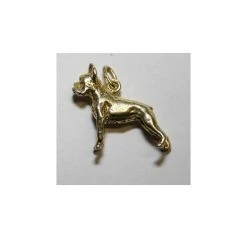 Bedeltje Verguld Boxer Gecoupeerd