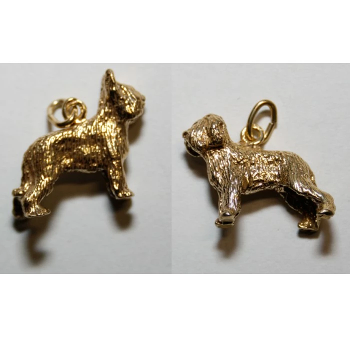 Bedeltje Verguld Briard 3 Bedeltje Verguld Briard