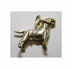 Bedeltje Verguld Bullterrier