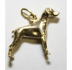 Bedeltje Verguld Dobbermann