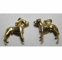 Bedeltje Verguld Dogo Argentino