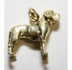 Bedeltje Verguld Fila Brasileiro