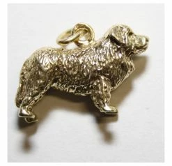 Bedeltje Verguld New Foundlander