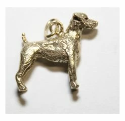 Bedeltje Verguld Parson Jack Russel Terrier Kortharig