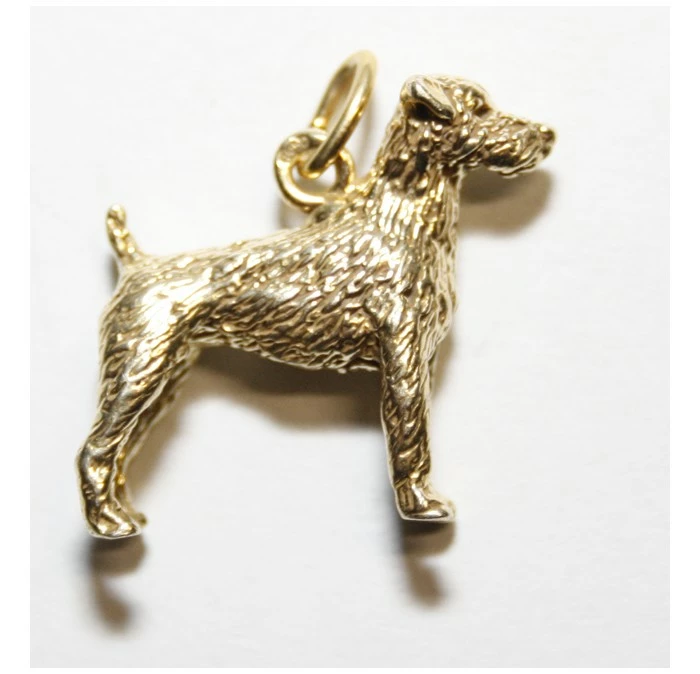 Bedeltje Verguld Parson Jack Russel Terrier Ruwharig 3 Bedeltje Verguld Parson Jack Russel Terrier Ruwharig