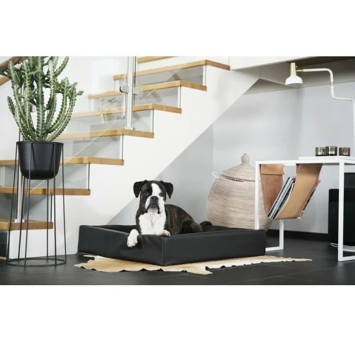 Bia Bed Ortho 50 Orthopedische Hondenmand 4 Bia Bed Ortho 50 Orthopedische Hondenmand - Afbeelding 2