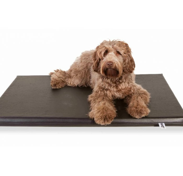 Bia Matras Ortho 44M Orthopedisch Hondenmatras 4 Bia Matras Ortho 44M Orthopedisch Hondenmatras - Afbeelding 2