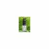 Blue Bottle Company Cbd Olie 5 % 10 Ml -winkel voor hondenbenodigdheden blue bottle company cbd olie 5 10 ml