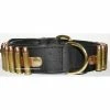 Bullet Hondenhalsband 45 Mm Breed -winkel voor hondenbenodigdheden bullet hondenhalsband 45 mm breed