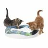 Hagen/Cat-it Cat-it Kattenspeelgoed Design Senses Speed Circuit -winkel voor hondenbenodigdheden cat it kattenspeelgoed design senses speed circuit