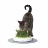 Hagen/Cat-it Catit Kattenspeelgoed Design Senses Grass Garden Kit 1 Hagen/Cat-it Catit Kattenspeelgoed Design Senses Grass Garden Kit -winkel voor hondenbenodigdheden catit kattenspeelgoed design senses grass garden kit