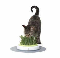 Hagen/Cat-it Catit Kattenspeelgoed Design Senses Grass Garden Kit