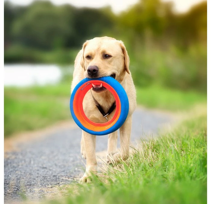 Chuckit! Fetch Wheel Hondenspeelgoed 5 Chuckit! Fetch Wheel Hondenspeelgoed - Afbeelding 3