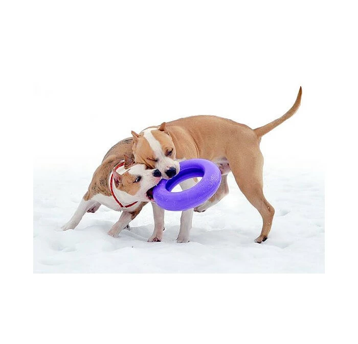 Collar Puller Hondenspeelgoed Maxi 1 Stuk 4 Collar Puller Hondenspeelgoed Maxi 1 Stuk - Afbeelding 2