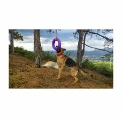 Collar Puller Hondenspeelgoed Maxi 1 Stuk