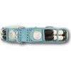 Doxtasy Baby Blue Eagle Halsband -winkel voor hondenbenodigdheden doxtasy baby blue eagle halsband