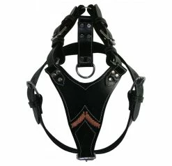 Doxtasy Gladiator Black/Silver Tuig