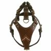 Doxtasy Gladiator Brown/Gold Tuig -winkel voor hondenbenodigdheden doxtasy gladiator brown gold tuig