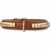 Doxtasy Gold Row Brown/Gold Halsband -winkel voor hondenbenodigdheden doxtasy gold row brown gold halsband