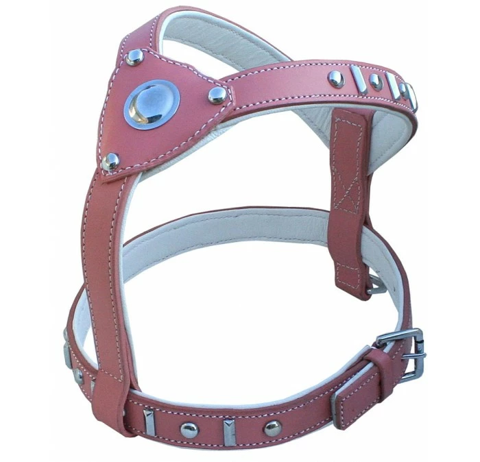 Doxtasy Princess Knight Tuig 3 Doxtasy Princess Knight Tuig