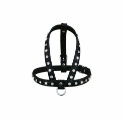 Doxtasy Swarovski Strass Extreme Black/White Tuig