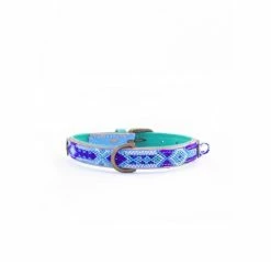 DWAM Hondenhalsband Blue