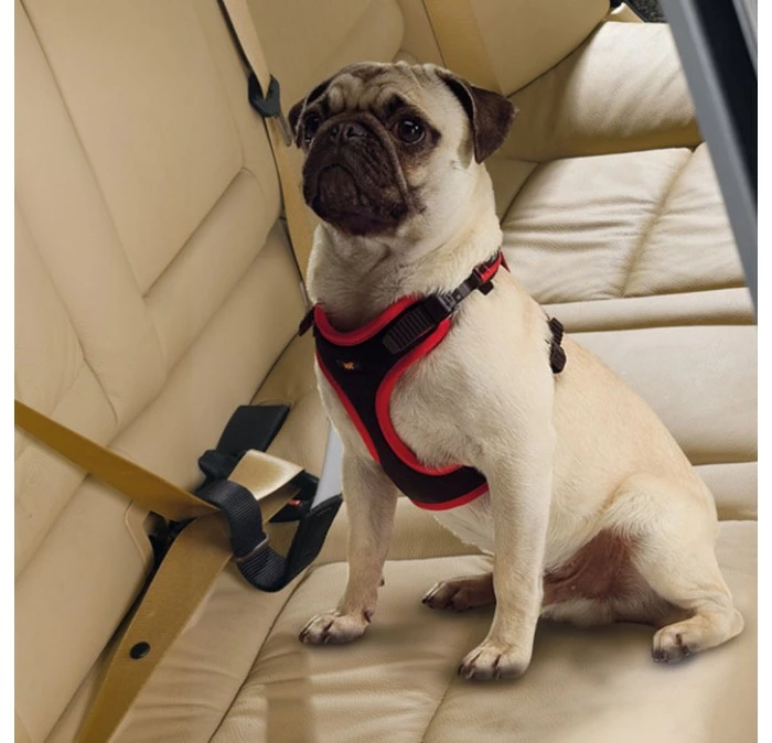 Ferplast Dog Travel Belt 4 Ferplast Dog Travel Belt - Afbeelding 2