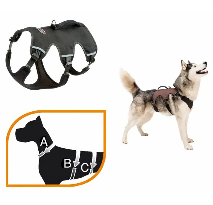 Ferplast Ergo Trekking P Large Zwart 3 Ferplast Ergo Trekking P Large Zwart