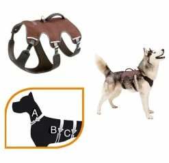 Ferplast Ergo Trekking P Small Bruin