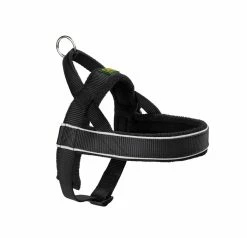 Hunter Norwegian Harness Racing