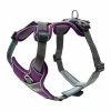 Hunter Y-Hondentuig Divo Violet -winkel voor hondenbenodigdheden hunter y hondentuig divo violet