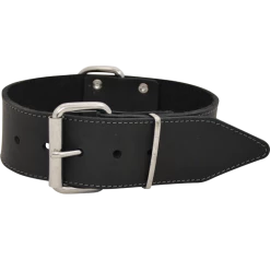 J & V Vetleer Halsband Zwart