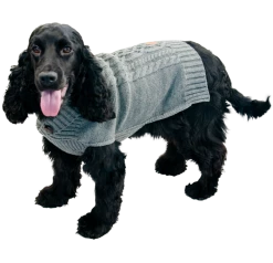 Jack & Vanilla Dogwalk Pull Grijs Hondentruitje