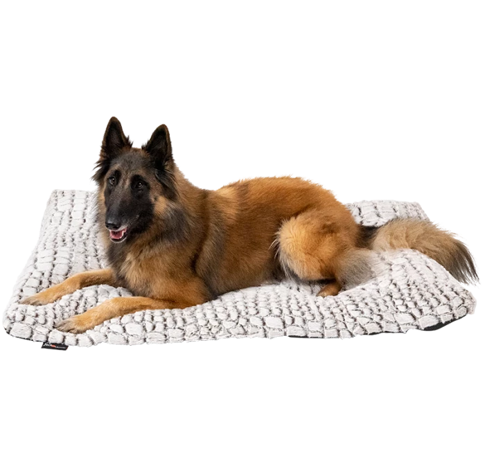 Jack & Vanilla Hondenkussen Rechthoek Snakeskin 3 Jack & Vanilla Hondenkussen Rechthoek Snakeskin