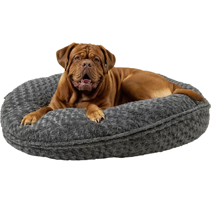 Jack & Vanilla Puff Coal 3 Jack & Vanilla Puff Coal