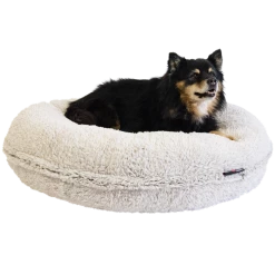 Jack & Vanilla Puff Shell