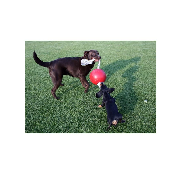 Jolly Ball Romp-n-Roll Oranje 6 Jolly Ball Romp-n-Roll Oranje - Afbeelding 4