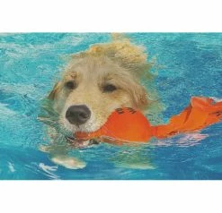 Kong Wet Wubba Hondenspeelgoed -winkel voor hondenbenodigdheden kong wet wubba hondenspeelgoed 1