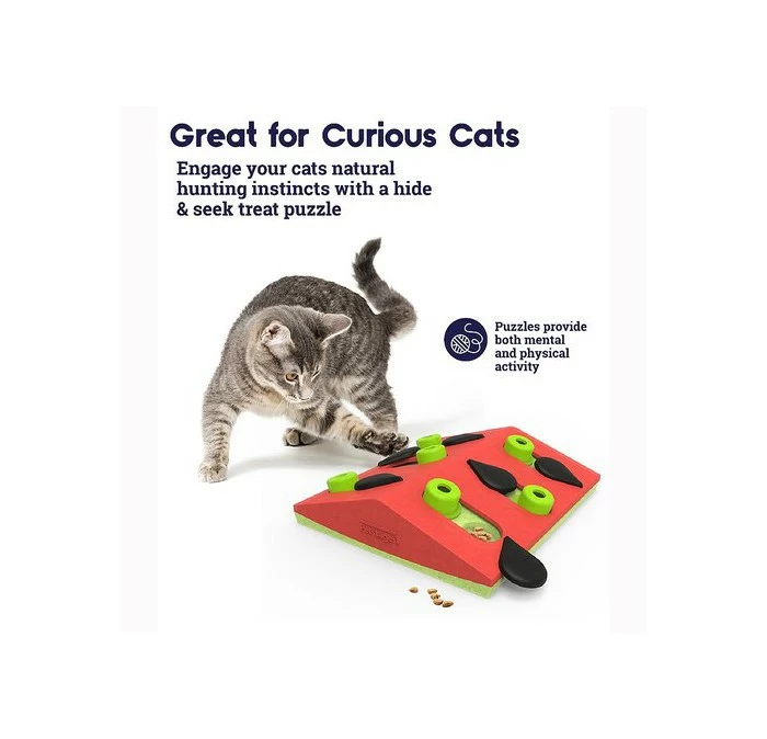 Nina Ottosson Melon Madness Puzzle & Play 6 Nina Ottosson Melon Madness Puzzle & Play - Afbeelding 4