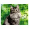 Nobby Kattennet L-XL 3 X 8meter -winkel voor hondenbenodigdheden nobby kattennet l xl 3 x 8 meter