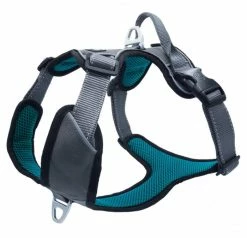 Petlando Outdoor Anti-Trekhondentuig Petrol