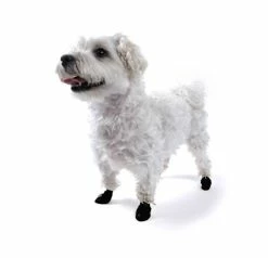 Protex Pawz Rubberen Hondenschoen XX-Small Zwart -winkel voor hondenbenodigdheden protex pawz rubberen hondenschoen xx small zwart 1