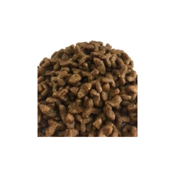 winkel voor hondenbenodigdheden -winkel voor hondenbenodigdheden smolke adult with fish and rice 1